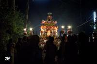 Palki Utsav in progress
